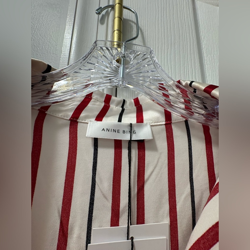 Anine Bing Striped Silk Milly Shirt Dress Size XS- Runs Oversized - Picture 4 of 6
